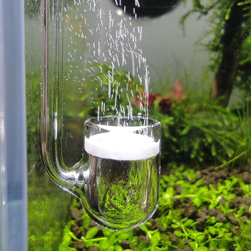 Máy khuếch tán CO2 thủy tinh D - đánh giá và giá Co2 Diffuser Planted
