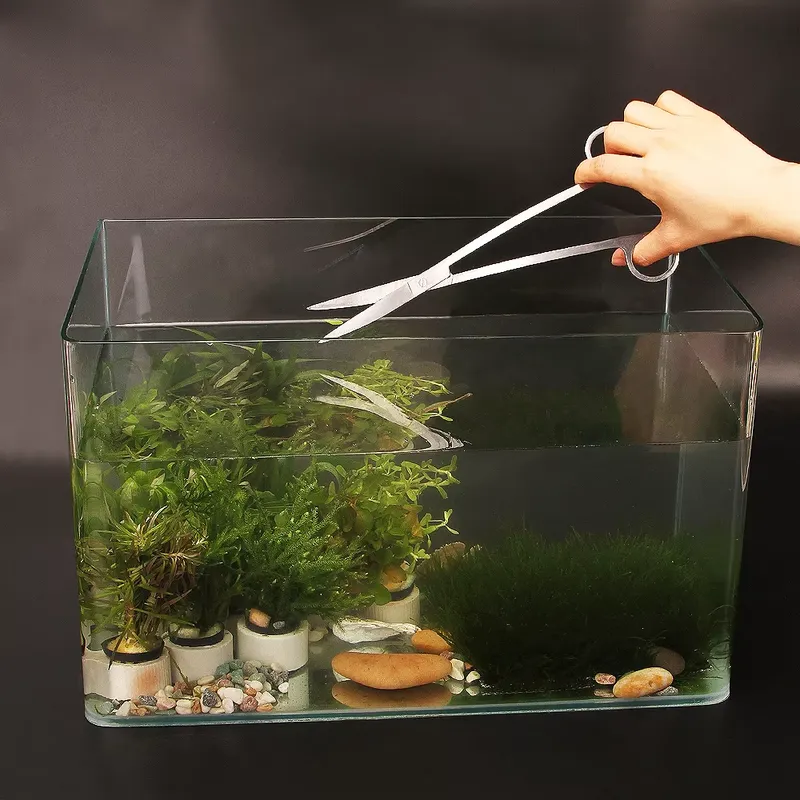 Popular Aquarium Tool Kit Aqua - đánh giá và giá Aquarium Fish Popular