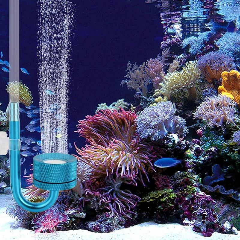 Aluminum CO2 Atomizer Fish Tan - đánh giá và giá Co2 Diffuser Planted