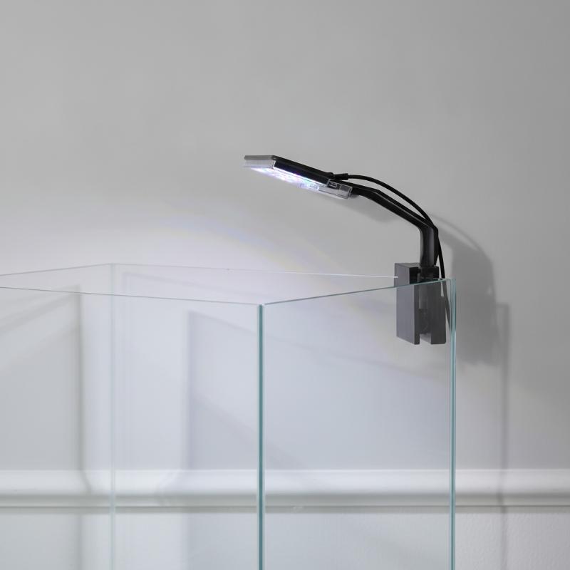 Aquarium LED Lighting Ultra-th - đánh giá và giá Aquarium Fish With Long Lifespan