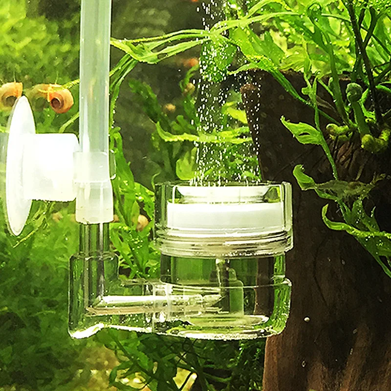 Aquarium 4 in 1 CO2 Diffuser G - đánh giá và giá Co2 Diffuser Planted