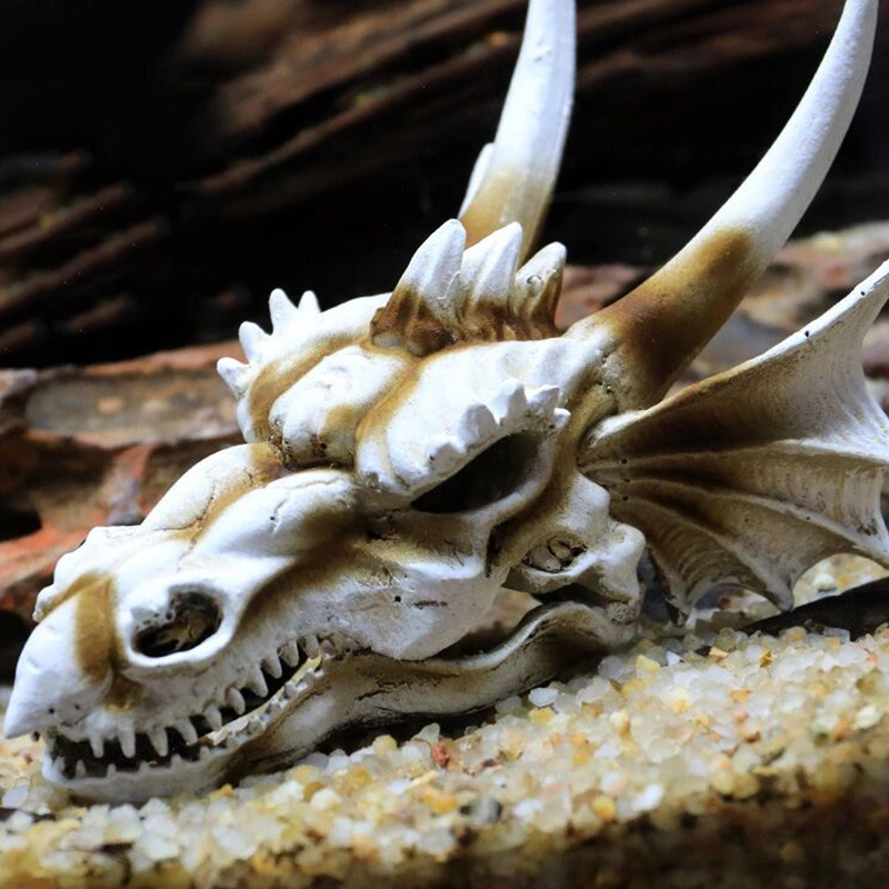Hồ Cá Cá Khủng Long Đầu Lâu Sk - đánh giá và giá Aquarium Fish Popular
