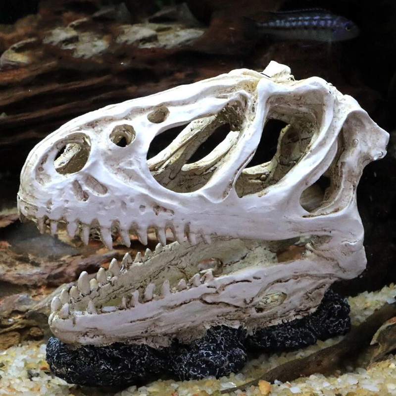 Hồ Cá Cá Khủng Long Đầu Lâu Sk - đánh giá và giá Aquarium Fish Popular