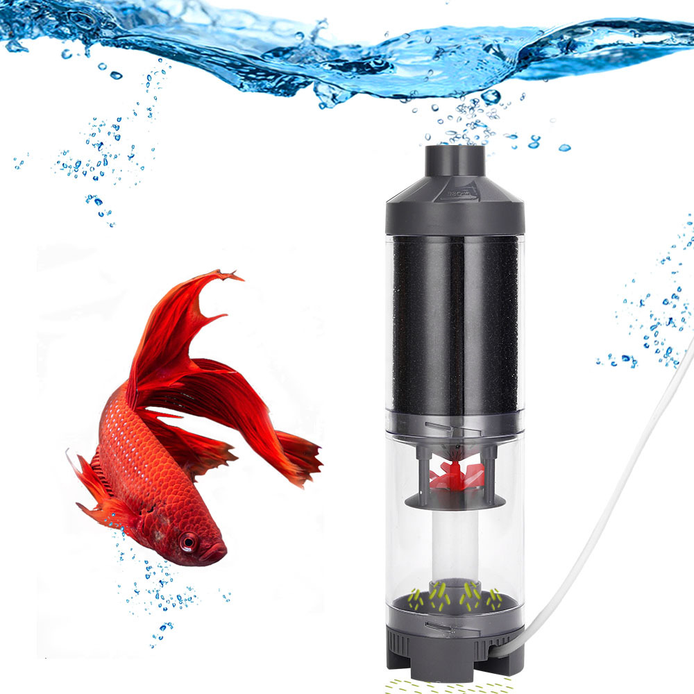 Popular Hot sell Aquarium Fish - đánh giá và giá Aquarium Fish Popular