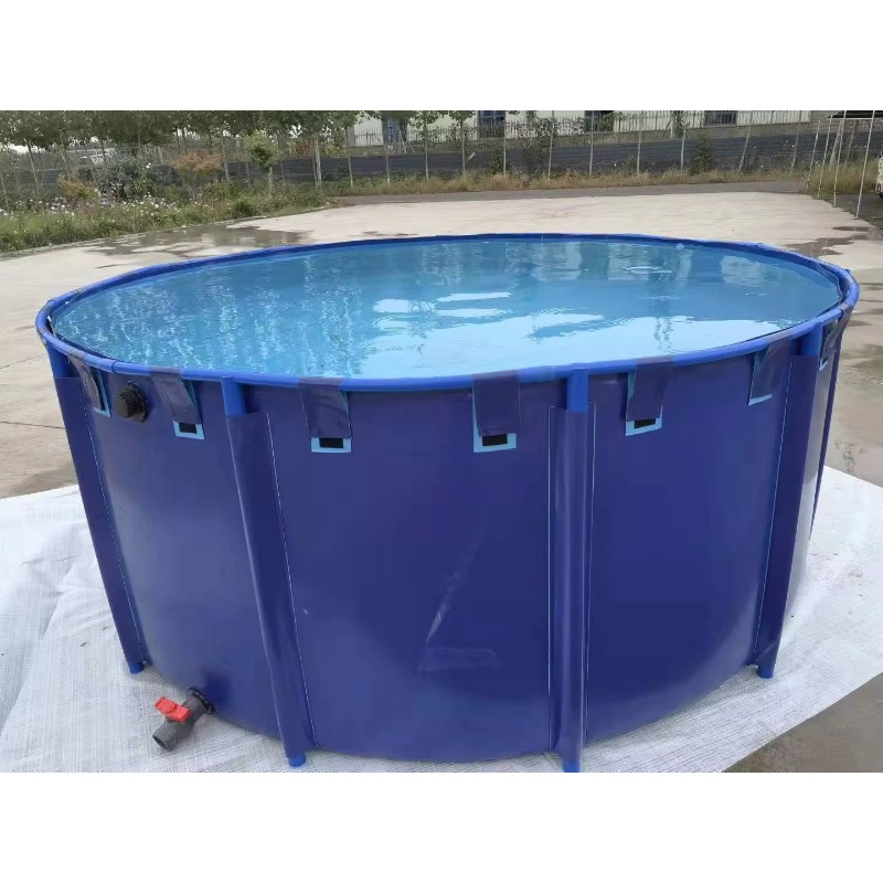 Wholesale Custom Outdoor Large - đánh giá và giá Aquarium Fish Popular