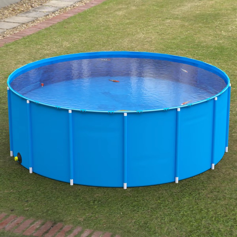 Wholesale Custom Outdoor Large - đánh giá và giá Aquarium Fish Popular