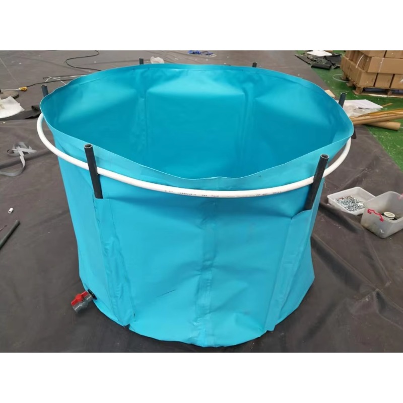 Wholesale Custom Outdoor Large - đánh giá và giá Aquarium Fish Popular