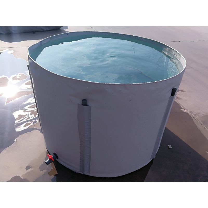 Wholesale Custom Outdoor Large - đánh giá và giá Aquarium Fish Popular