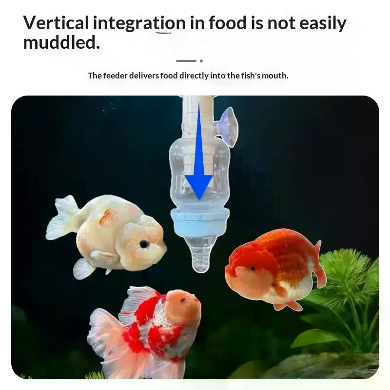 Popular Precise Fish Pacifier  - đánh giá và giá Aquarium Fish Popular